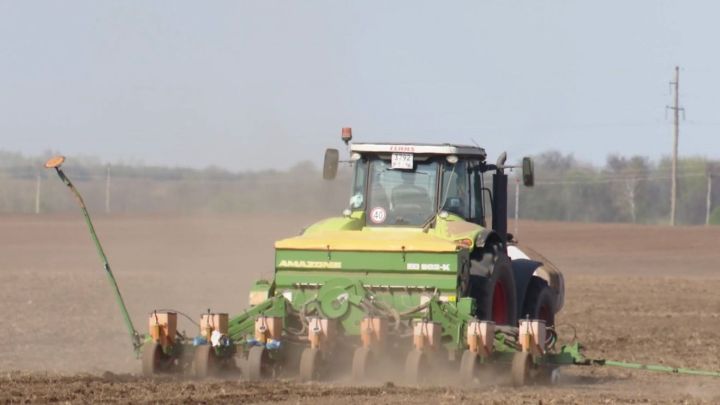 В Мамадышском районе весенне-полевые работы в самом разгаре