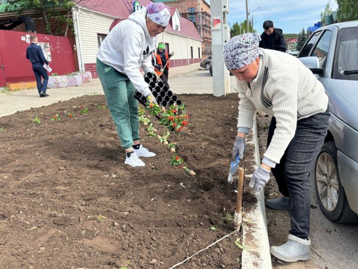Сотрудники ООО «Мамадыш ЖКУ» начали работы по озеленению города