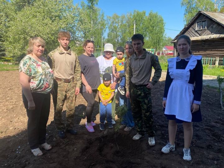 В Мамадышском районе высадили дерево в память о герое СВО