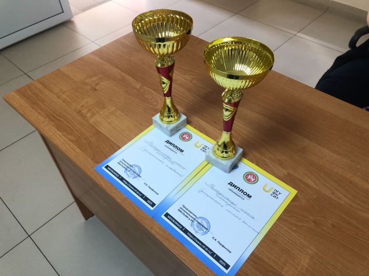 Мамадышские спортсмены – чемпионы Первенства РТ по спорту ЛИН