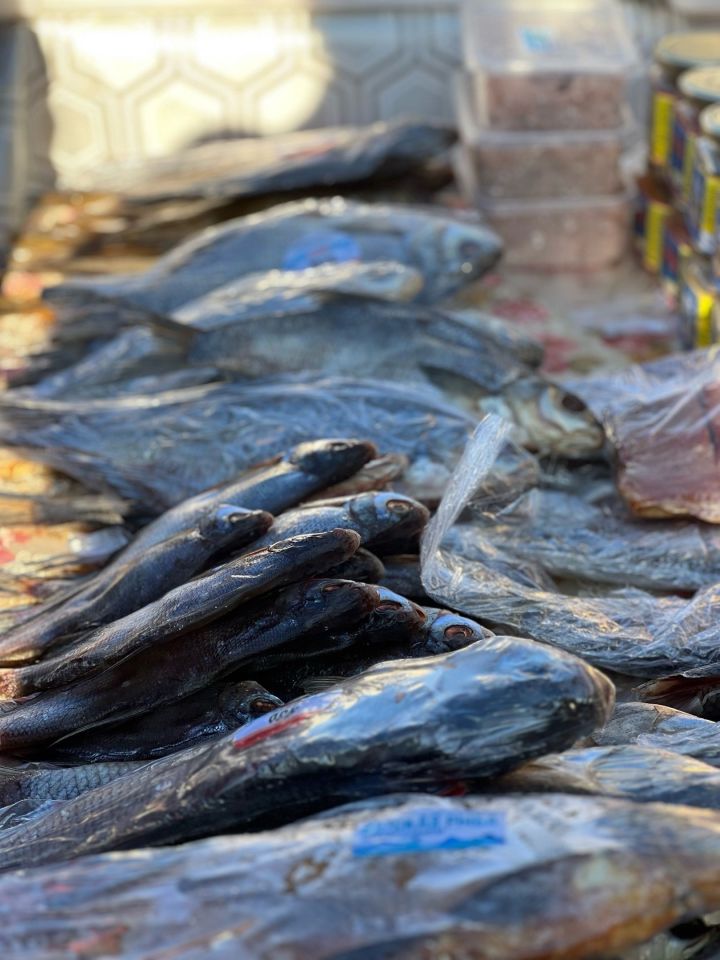 Директор Мамадышского рыбзавода предупредил об штрафах в период нереста