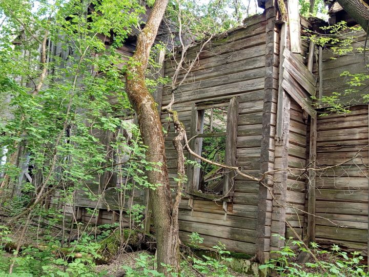 Школьникам рассказали историю заброшенного храма Животворящей Троицы