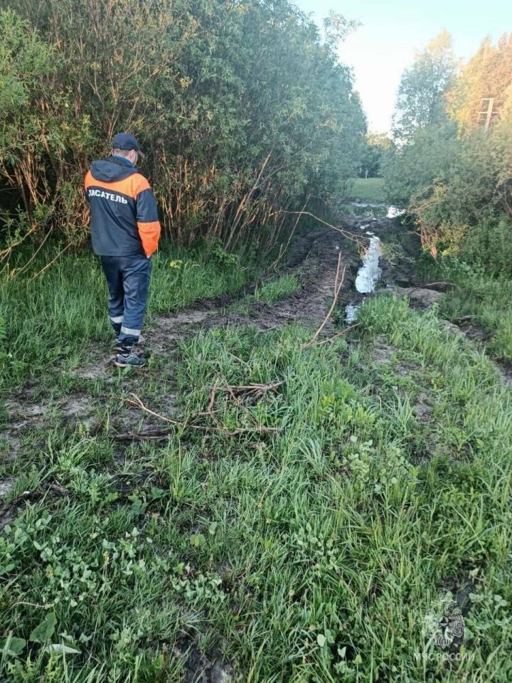 В Татарстане спасатели вывели из леса заблудившихся автомобилистов