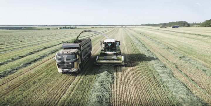 В Мамадышском районе в самом разгаре важнейшая сельскохозяйственная кампания