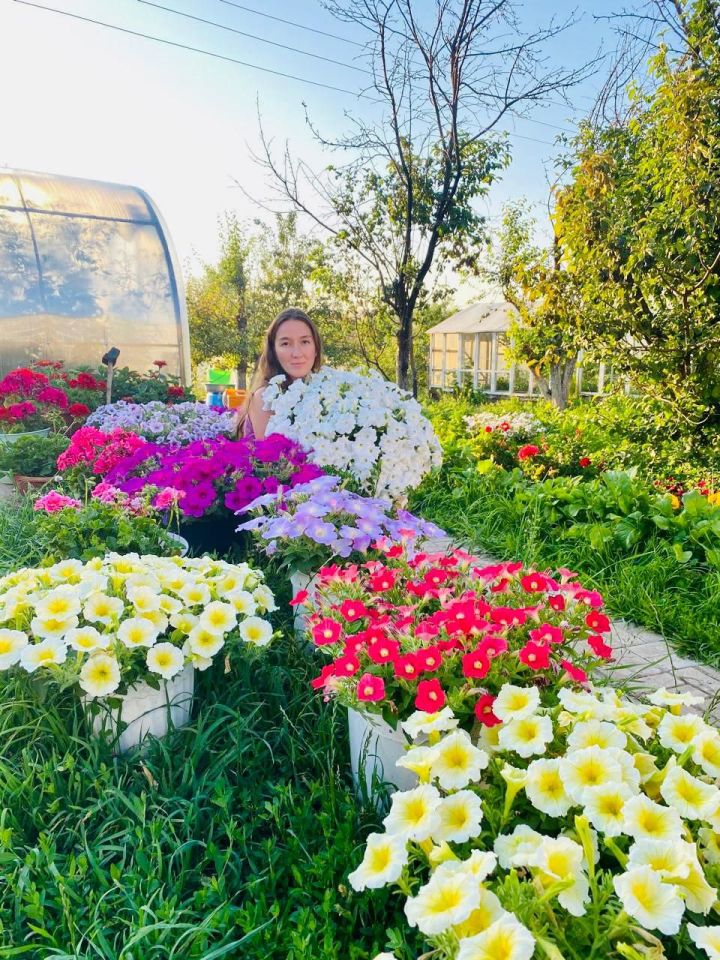 Когда петунии становятся искусством: вдохновляющая история мамадышской девушки