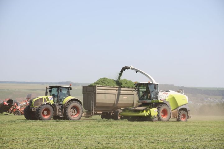 Кормозаготовка в Мамадышском районе выполнена на 66%