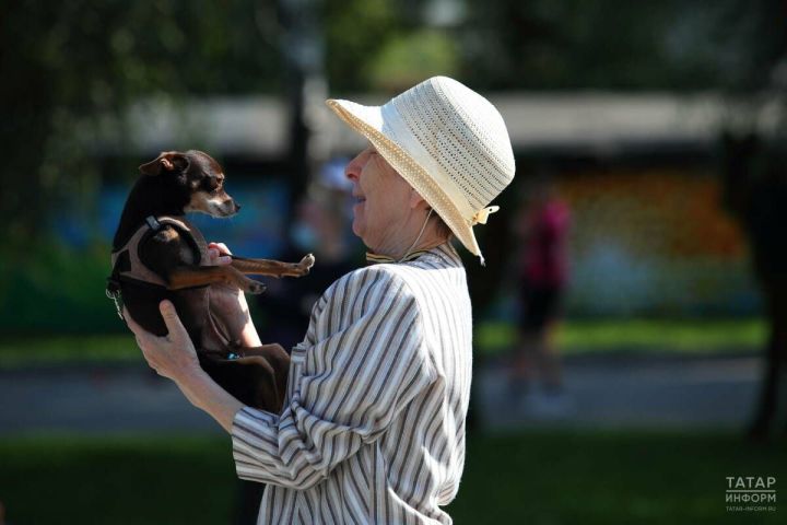 В Татарстане с 1 июля начнут штрафовать за незарегистрированных собак