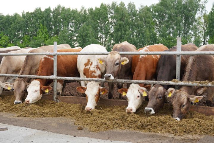 Минсельхозпрод РТ объявляет о начале приема заявок на грант «Агростартап»