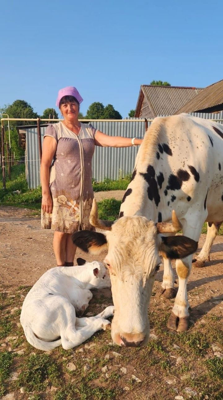 В хозяйстве Насибуллиных из села Арташка родился редкий белоснежный телёнок