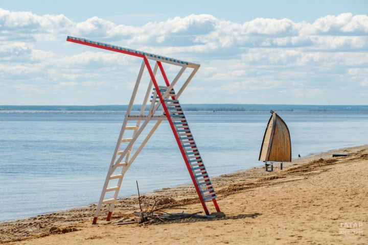 МЧС запретит животным вход на пляжи по новым правилам безопасности