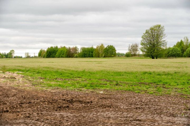 В Татарстане нашли 3 000 участков для строительства в рамках госпрограммы
