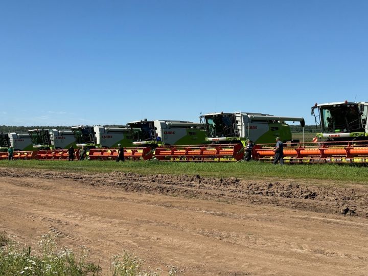 В Мамадышском районе полным ходом идёт уборка зерновых культур