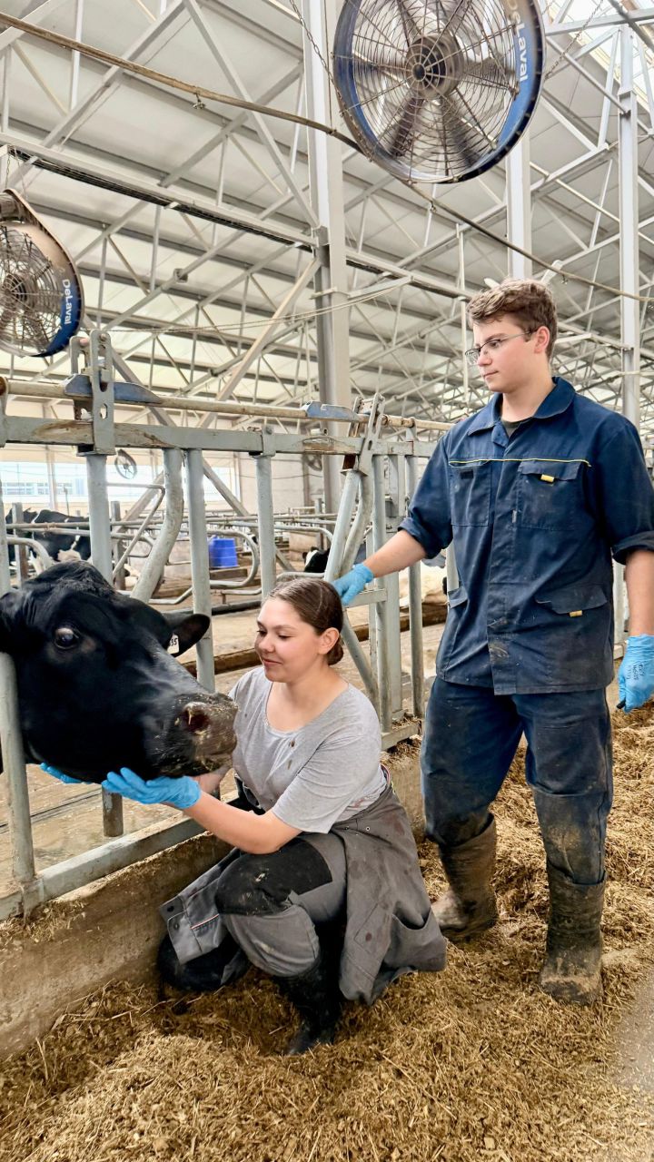 Студентка-ветеринар из Казани: «Здесь бесценный опыт!»