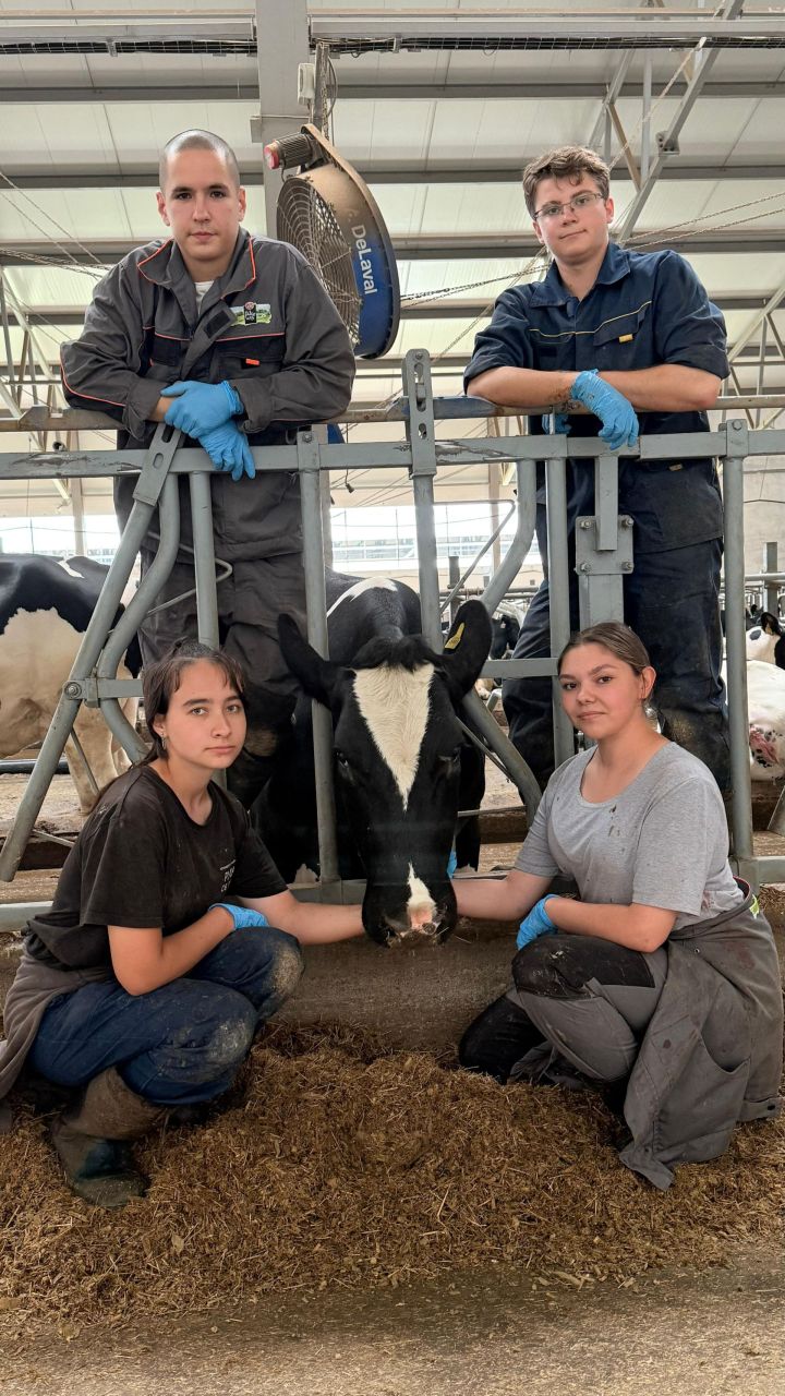 «Родные Места»: здесь студенты становятся профессионалами