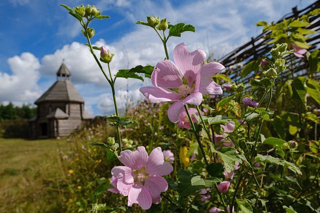 Мамадыш назван основным туристическим центром Татарстана