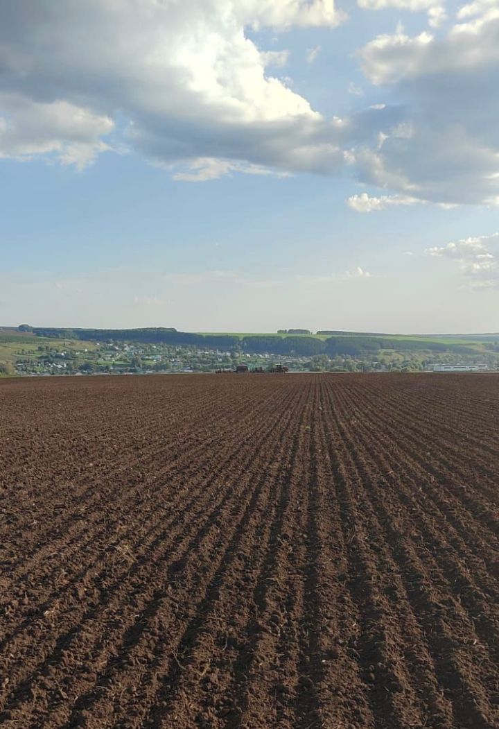В Мамадышских полях ведутся осенние полевые работы