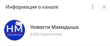В телеграм-канале »»Новости Мамадыша» более 6 000 подписчиков