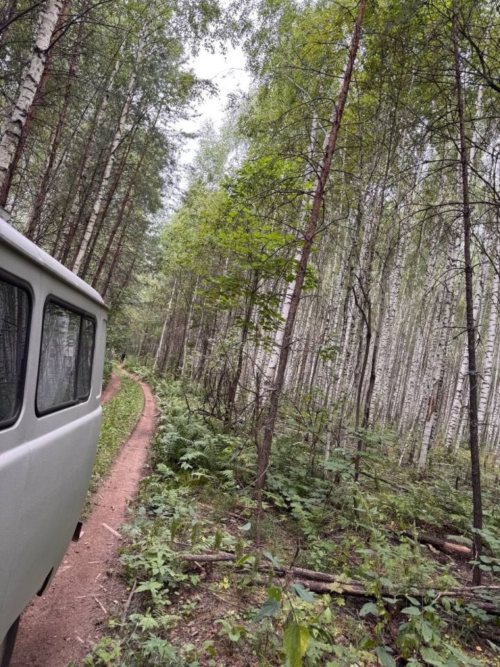 Трасса для Чемпионата РТ по моторалли в Мамадышском районе готова