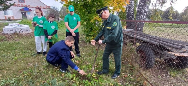 В Мамадышском районе прошел экологический мастер-класс для юных лесоводов