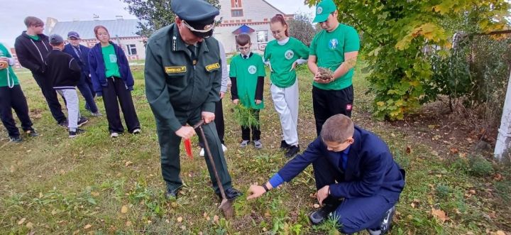 В Мамадышском районе прошел экологический мастер-класс для юных лесоводов