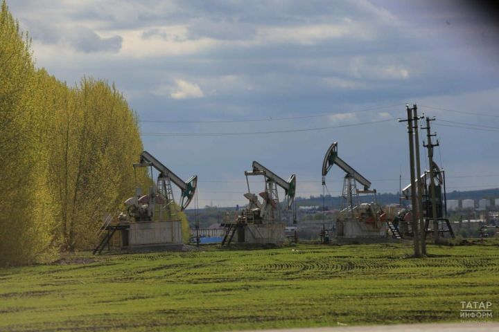 Мамадышский район раскрывает минерально-сырьевой потенциал