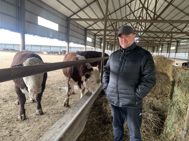 Мамадышский фермер участвует в конкурсе «Легендарный фермер»