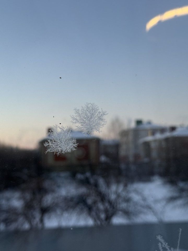 Татарстанга тотрыклы суыклар килә