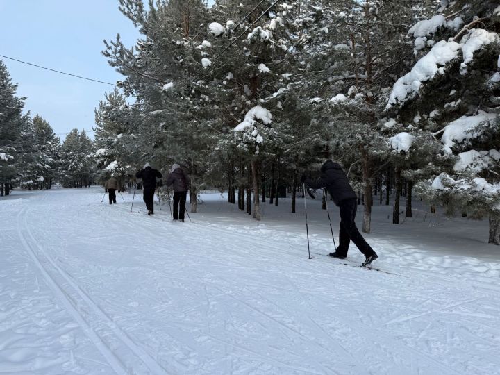 Студенты политехнического колледжа осваивают лыжи и коньки