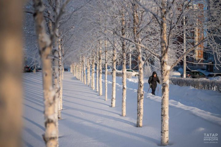 Мороз до -30°C: как уберечь сердце, легкие и кожу от холода