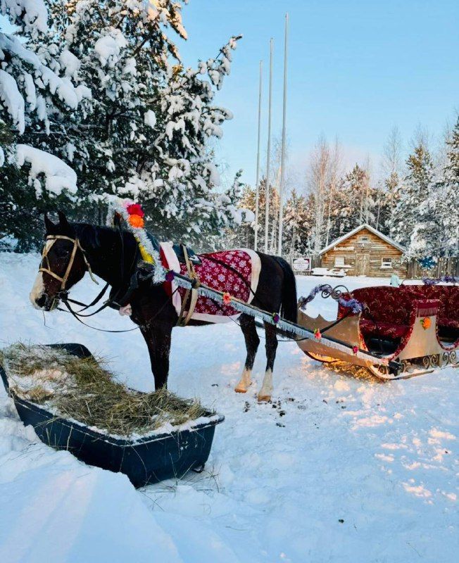 Куда сходить с детьми 5 января в Мамадыше