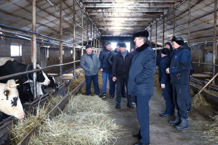 Хуҗалыклар саны кими: Татарстан фермерлары кризис шартларында ничек яши?