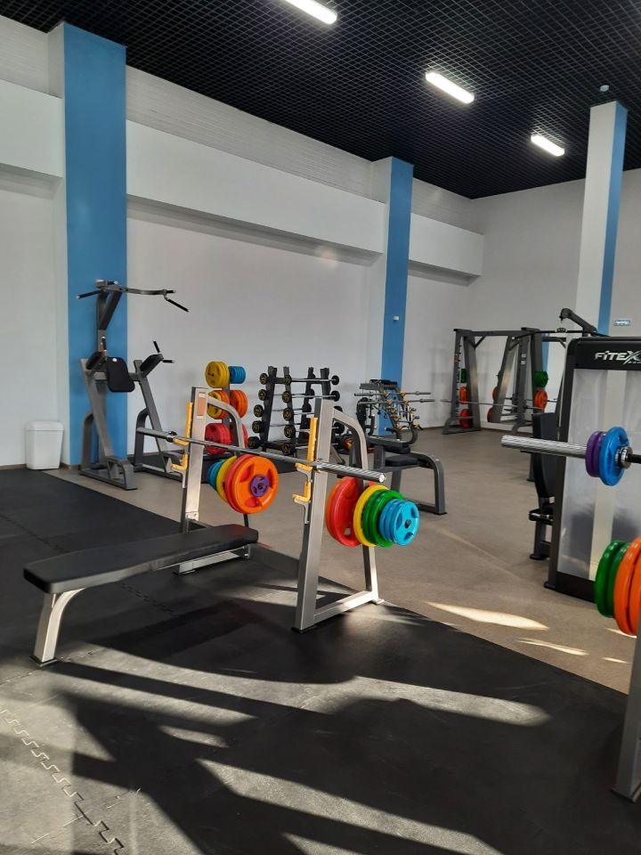 Татарстанлыларның 67,2 проценты спортны үз итә