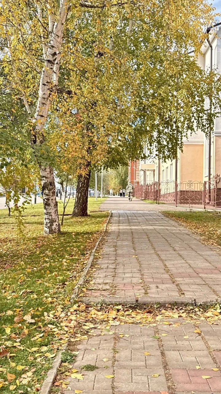 12 октября 2026: какой сегодня день