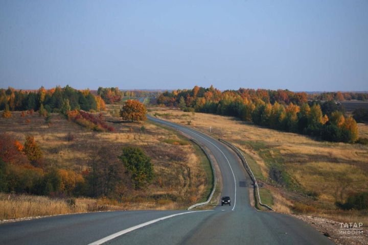 Новичкам за рулем объяснили правила безопасной езды осенью
