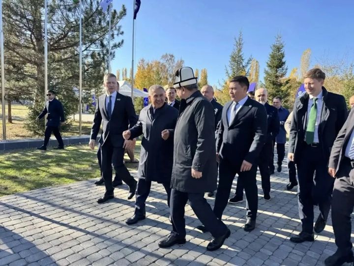 Татарстан и Кыргызстан объединились ради спасения снежного барса