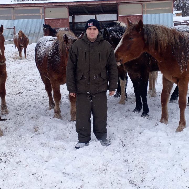 Семья Козловых из деревни Дюсьметьево построила успешное фермерское хозяйство