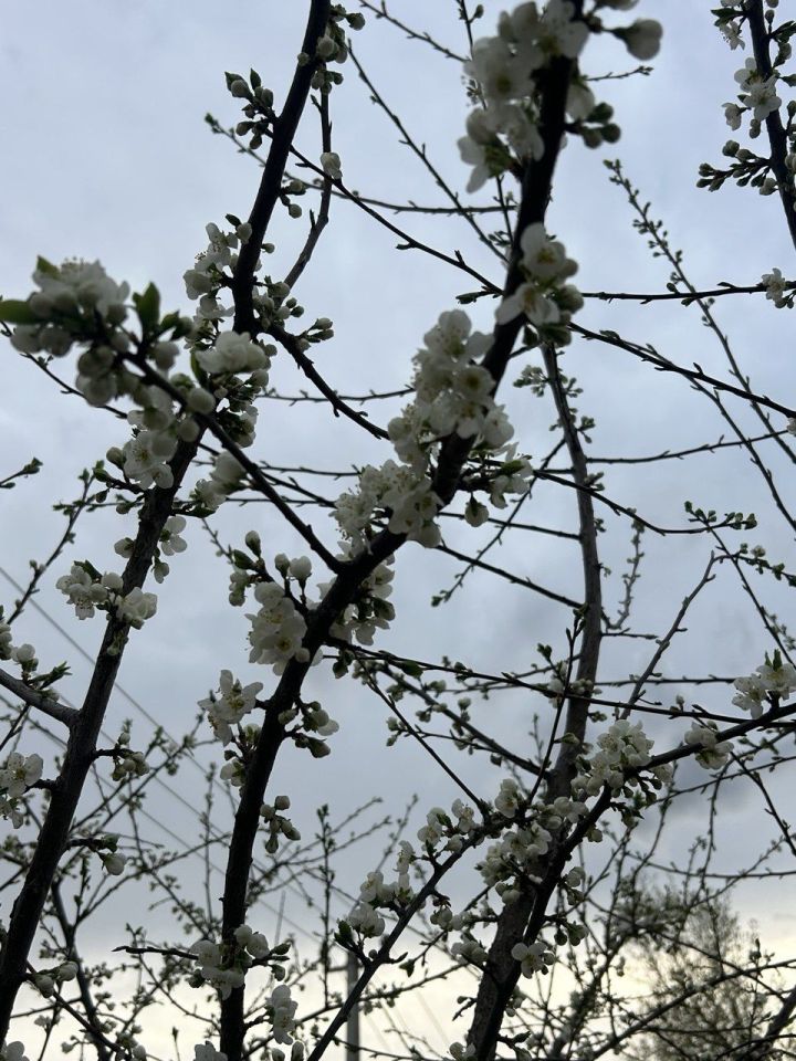 Татарстанга язгы җылылык якынлаша