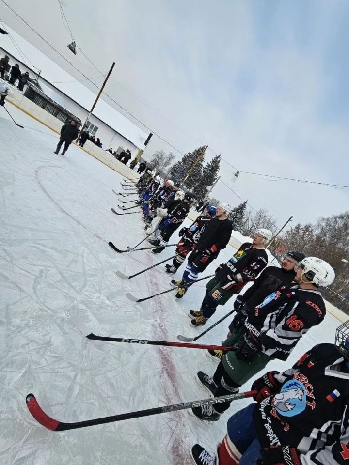 В Урманчеево прошел хоккейный турнир памяти ветеранов