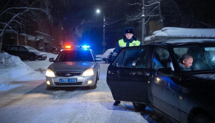 Жителя Мамадышского района арестовали на 10 суток за пьяную езду