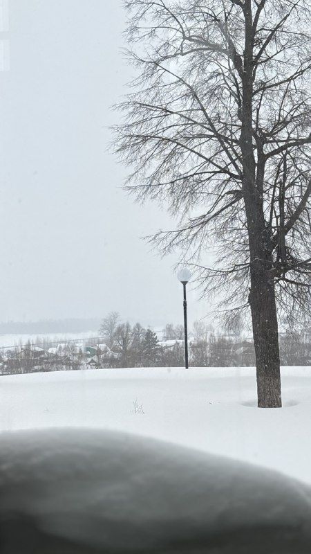 Погода в средней полосе России в начале марта 2026