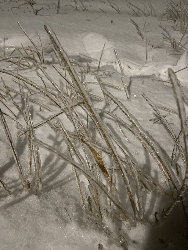 Татарстанда каты суыклар кискен җылыту белән алышыначак