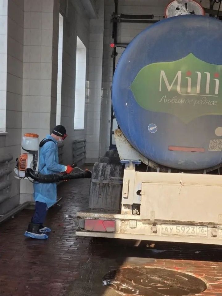 Руководитель ветобъединения Мамадышского района проинспектировал «Азбуку сыра»