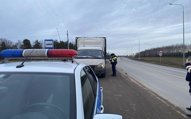 Чем грозит покупка животных без документов в Татарстане