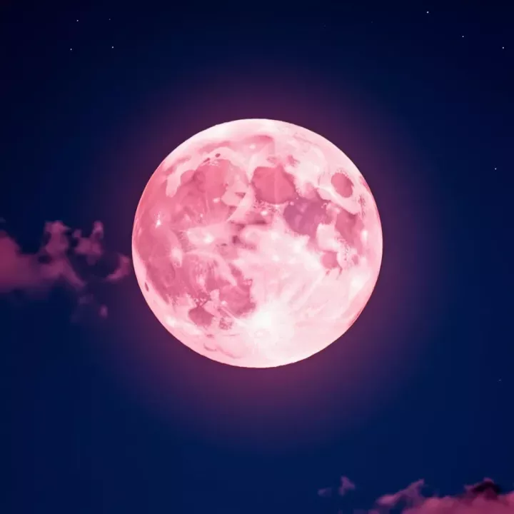 Розовая луна: Когда следующее полнолуние в 2026 году