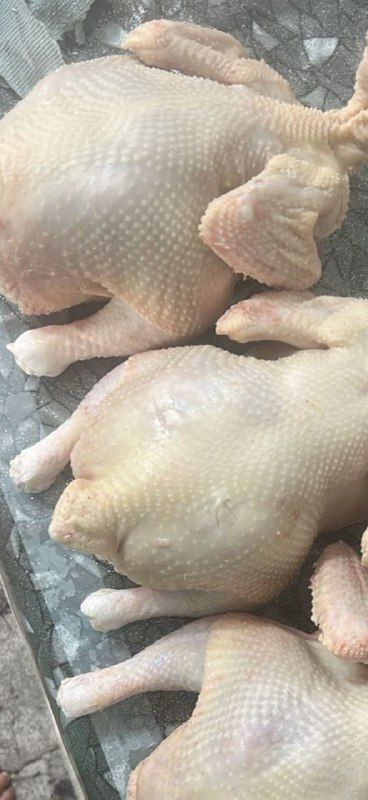 Казанда сальмонелла табылган 685 килограммнан артык итне сатудан алдылар