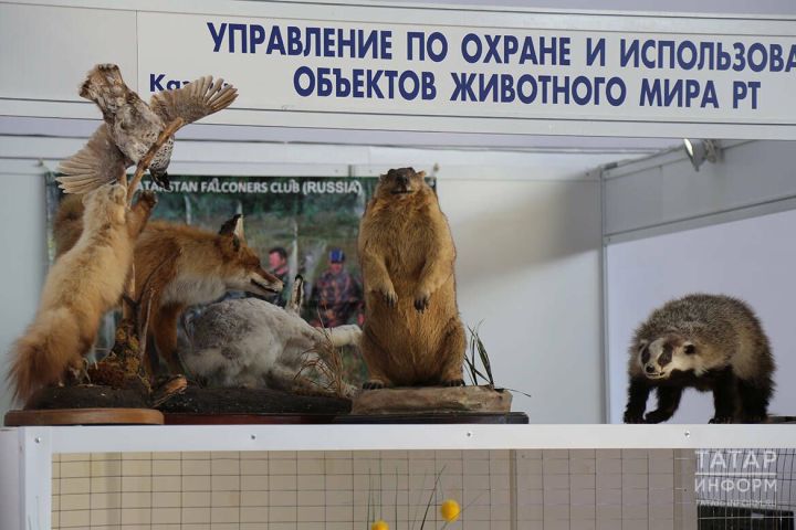 В Татарстане завершается «лесная перепись»