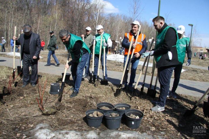 В Татарстане дан старт экологическому конкурсу «Эковесна-2026»