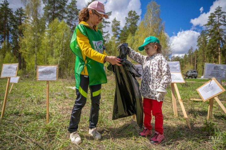 «Чистые леса Татарстана»: весенне-летний этап стартует 20 апреля