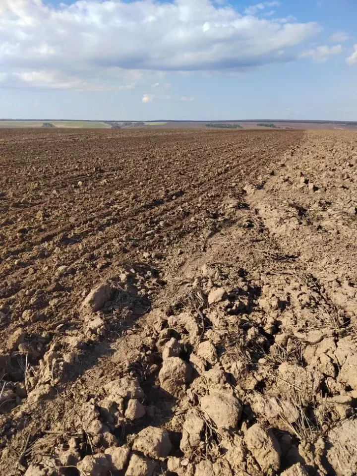 Татарстанда язгы чәчү кампаниясе старт алды: 1,7 млн гектарда эшләячәкләр