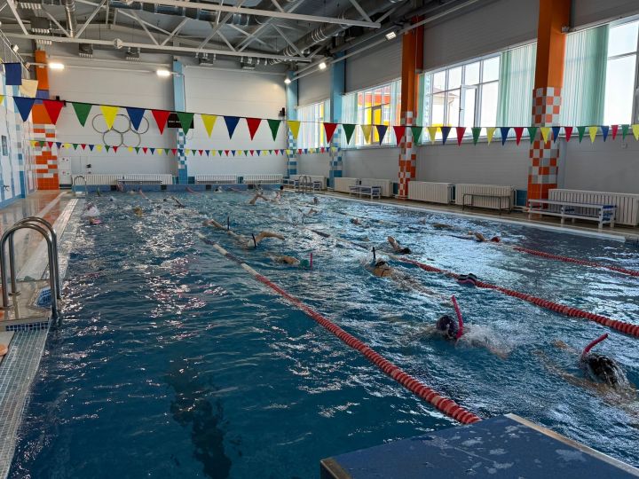 В мамадышской «Лагуне» прошел мастер-класс от мастера спорта России из Пестрецов